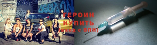 дживик Ельня