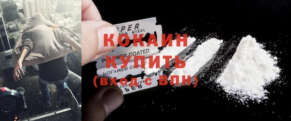 прущие грибы Елизово