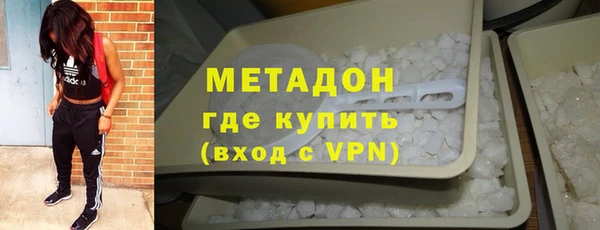 прущие грибы Елизово