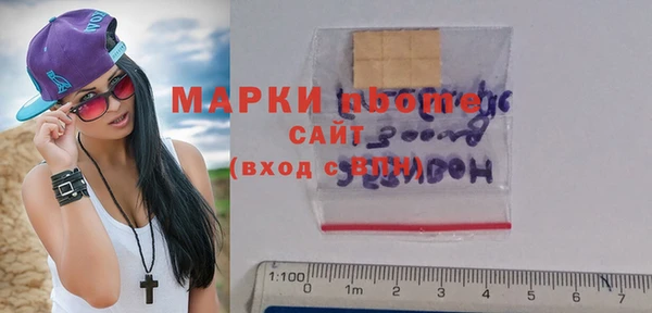 дживик Ельня