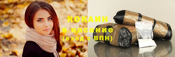 прущие грибы Елизово