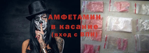 дживик Ельня