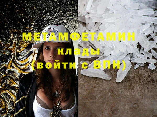 дживик Ельня