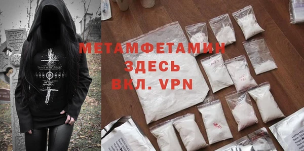 дживик Ельня