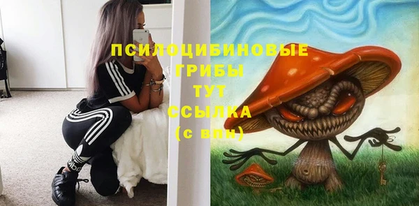 прущие грибы Елизово