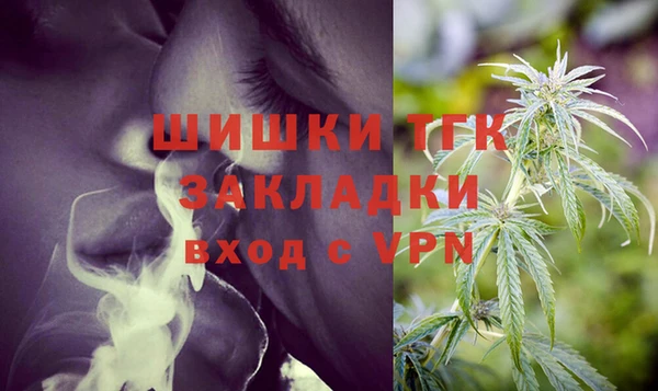 дживик Ельня