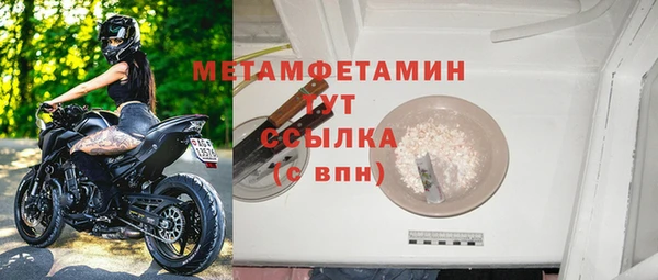 дживик Ельня