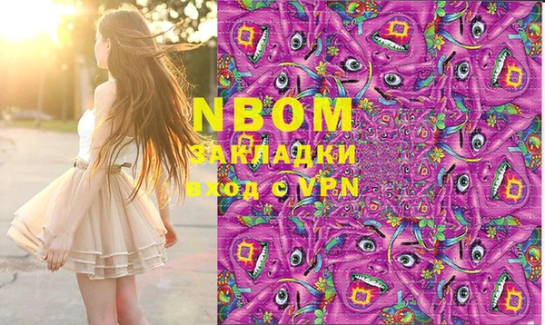 дживик Ельня