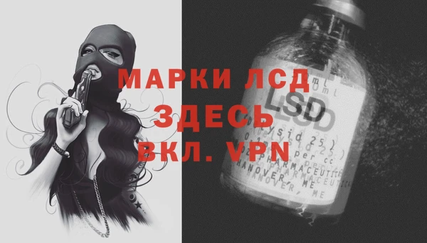 дживик Ельня
