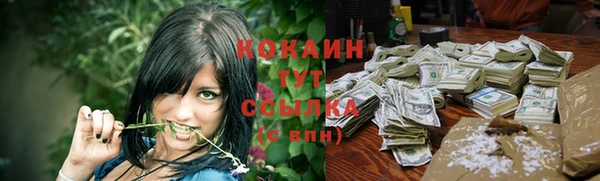 прущие грибы Елизово